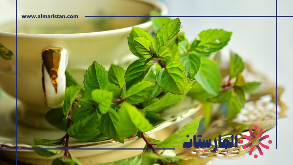 أضرار النعناع (1)
