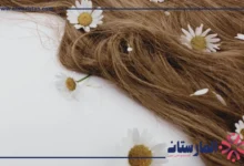 فوائد البابونج للشعر