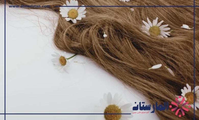 فوائد البابونج للشعر