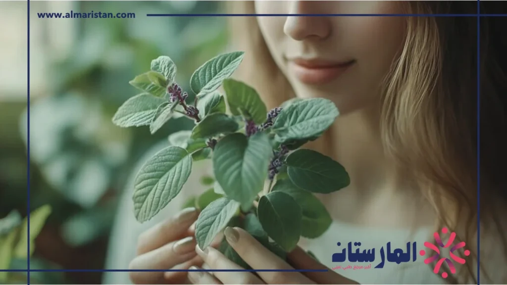 فوائد الميرمية للنساء