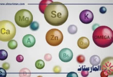 انزيمات هاضمة