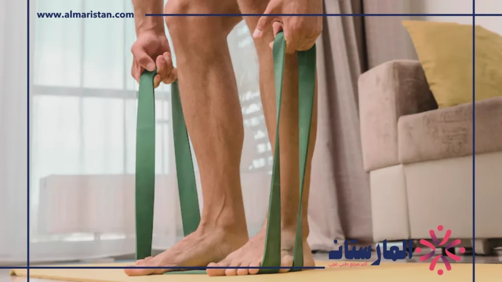 عضلة البطه