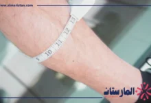 عضلة البطه