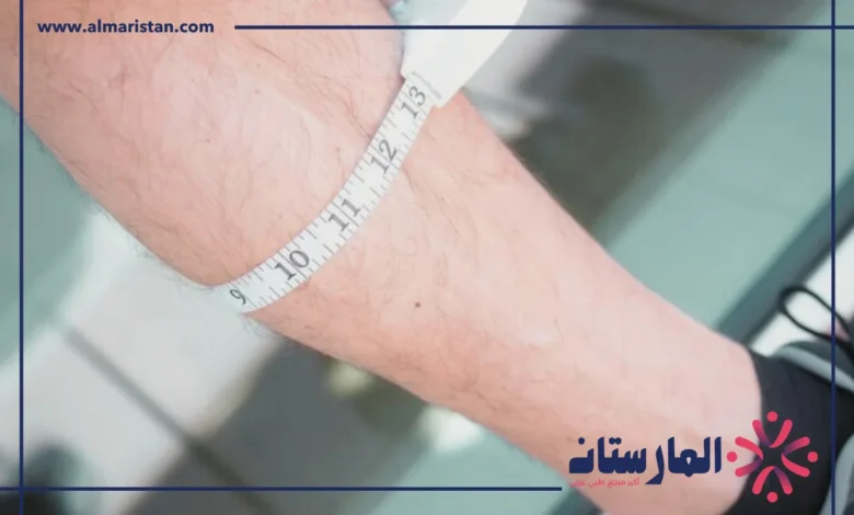 عضلة البطه